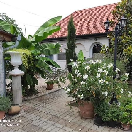 Harkány Lavendel Apartman מראה חיצוני תמונה