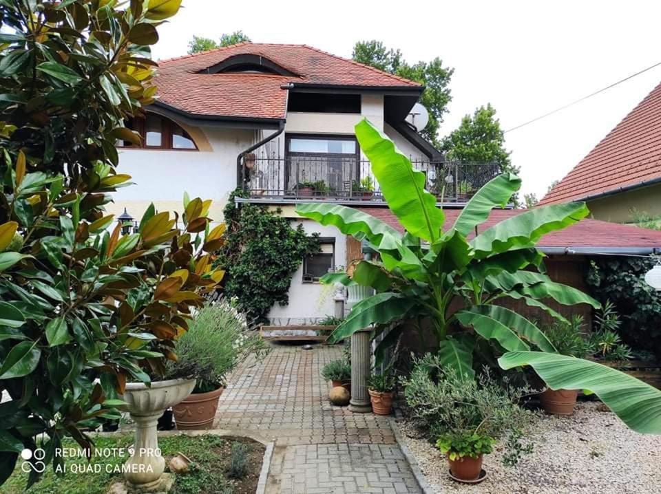 Harkány Lavendel Apartman מראה חיצוני תמונה