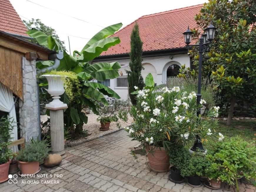 Harkány Lavendel Apartman מראה חיצוני תמונה